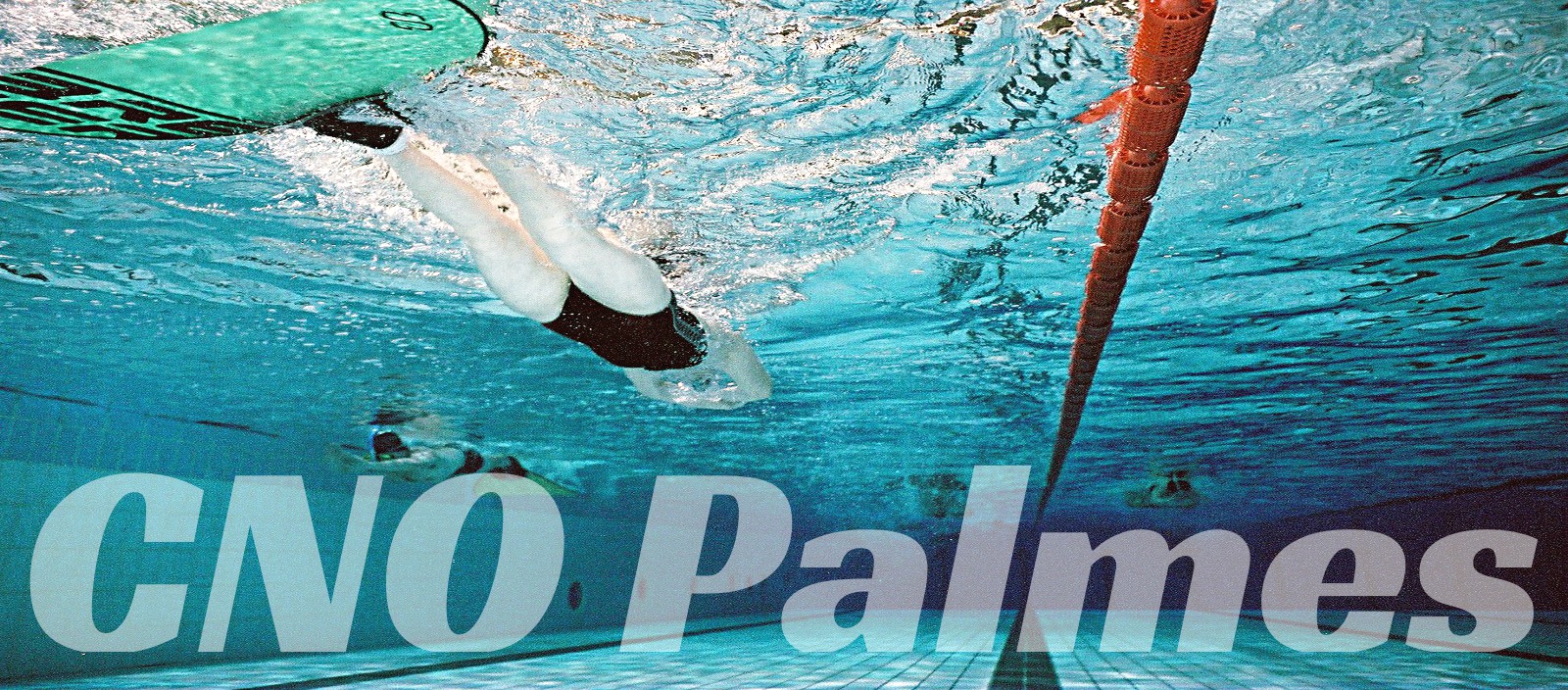 placeholder_1600x704
