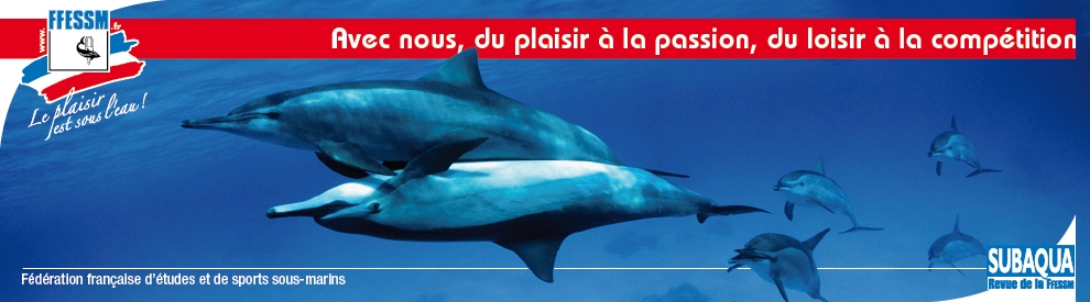 dauphins2