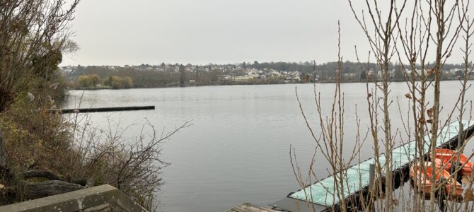 LES PALMES DU LAC – VIRY-CHATILLON – 2023